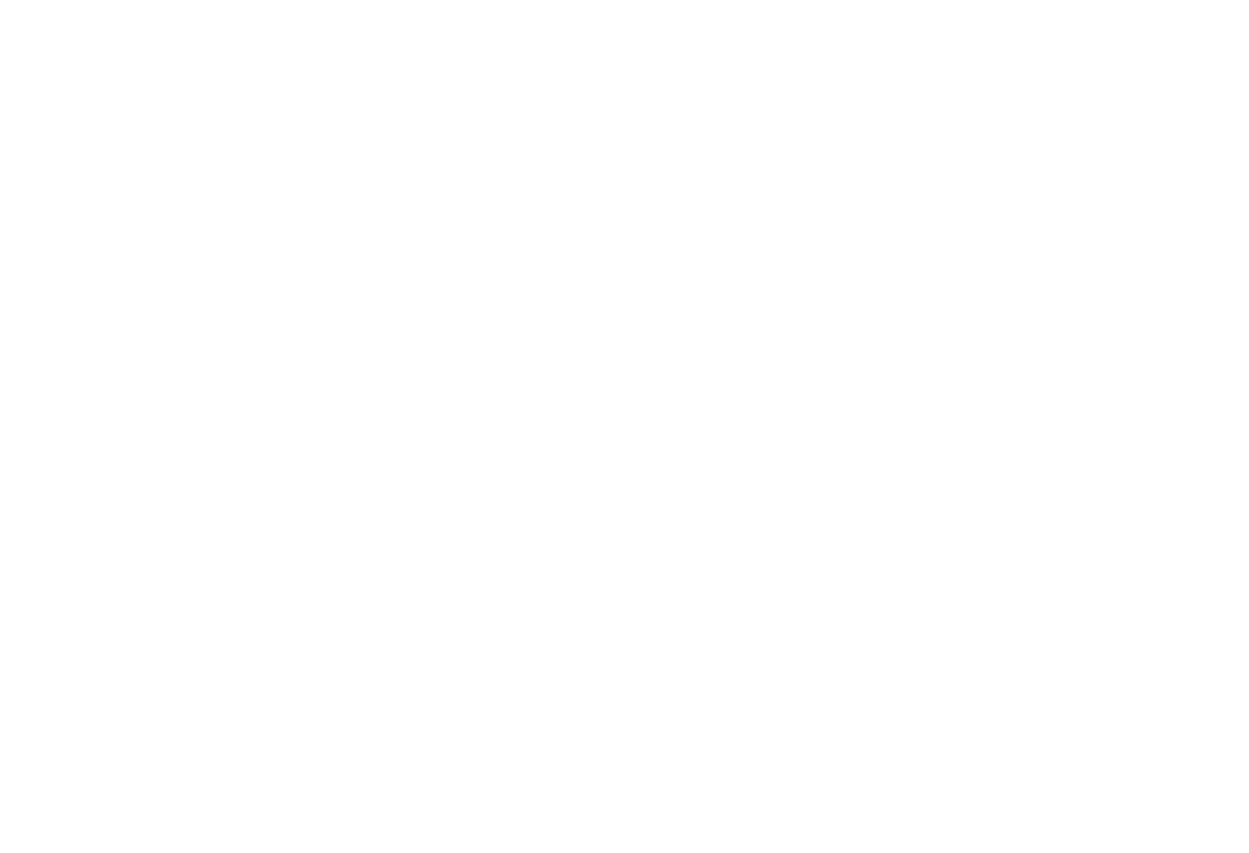 Strix, la evolución de LoJack